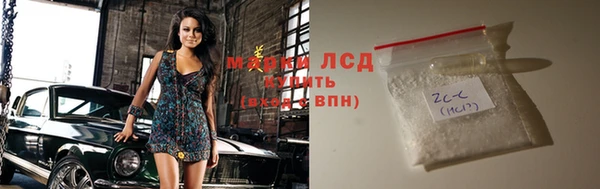 прущие грибы Наволоки