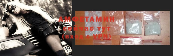 прущие грибы Наволоки
