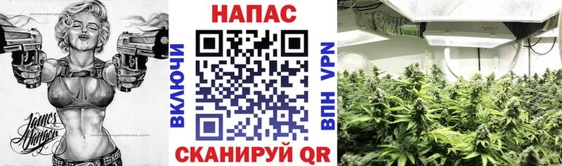 Бошки Шишки тримм  Муром 